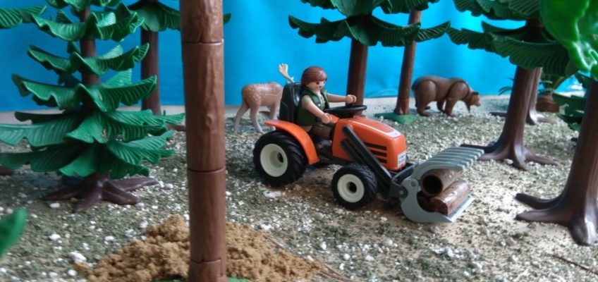 vida en un bosque playmobil